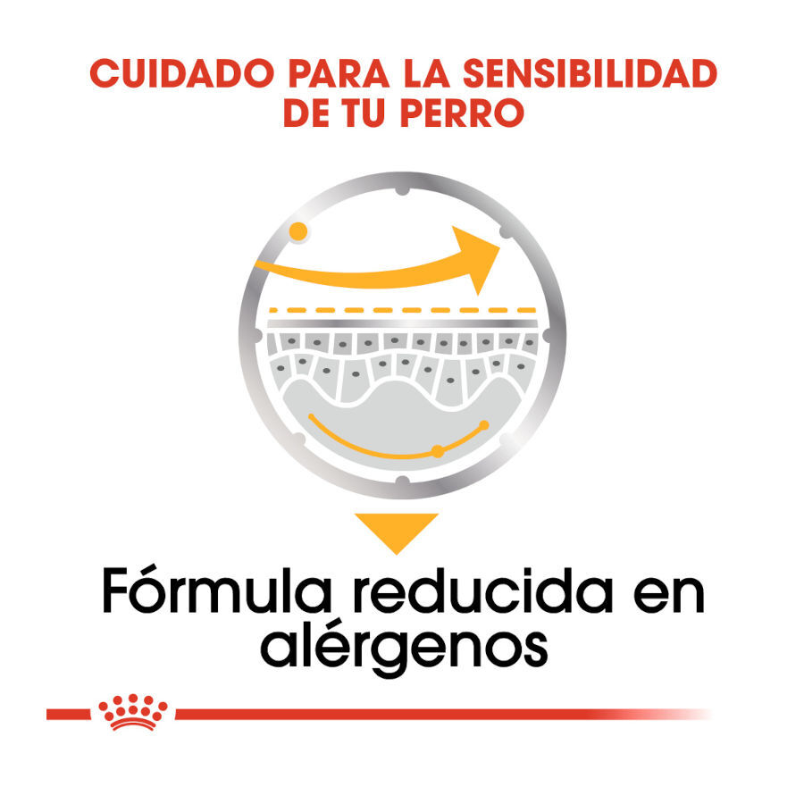 Royal Canin Dermacomfort Sobres Paté para perros thumbnail