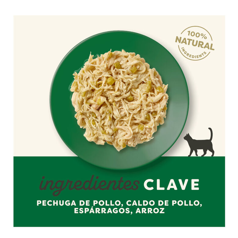 Applaws Pollo y Espárragos sobre para gatos thumbnail