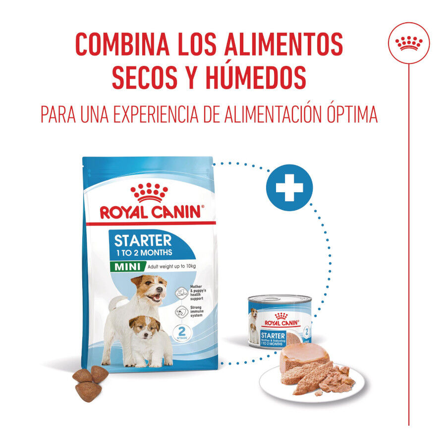 Royal Canin Starter MotheryBaby Mini pienso para perros thumbnail