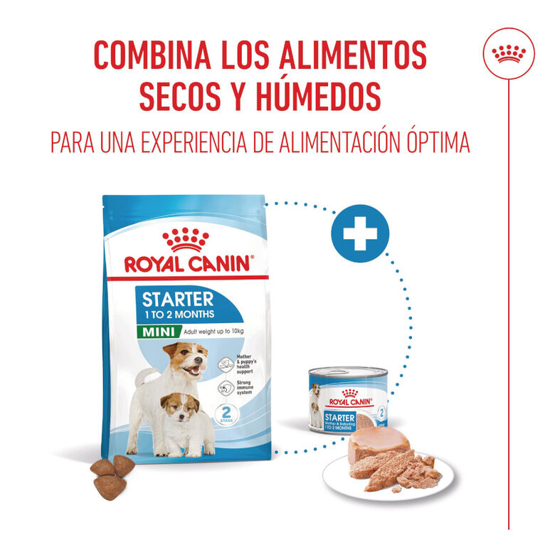 Royal Canin Starter MotheryBaby Mini pienso para perros thumbnail