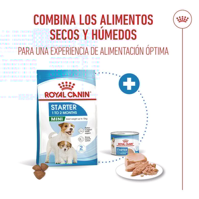 8 kg Royal Canin Starter MotheryBaby Mini pienso para perros,  Imagen numero 6 8 kg Royal Canin Starter MotheryBaby Mini pienso para perros, , large Imagen numero 6