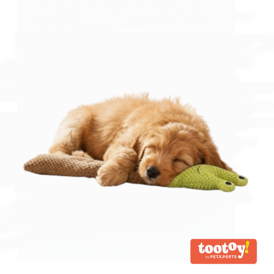 Tootoy! Caracol de Peluche Extensible con Sonido para perros, , large Imagen numero 8