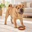 Tootoy! Chew Anillo Trenzado Juguete para perros, , large indicador imagen numero 1