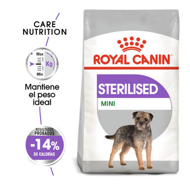 Royal Canin Mini Sterilised pienso para perros 