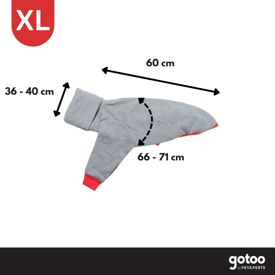 Gotoo Sudadera Gris para galgos, , large Imagen numero 4