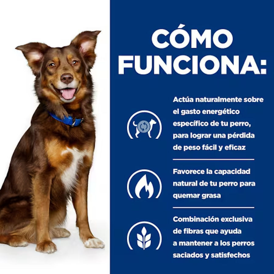 370 g Hill's Prescription Diet Metabolic Vacuno y Verduras lata para perros, , large Imagen numero 4