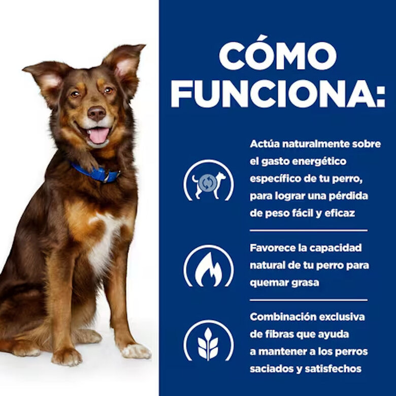 370 g Hill's Prescription Diet Metabolic Vacuno y Verduras lata para perros,  Imagen numero 4 370 g Hill's Prescription Diet Metabolic Vacuno y Verduras lata para perros, , large Imagen numero 4