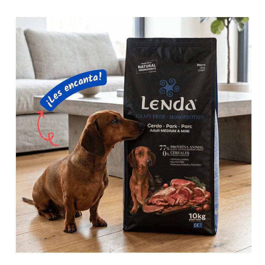 10 kg Lenda Grain Free Cerdo pienso para perros, , large Imagen numero 5