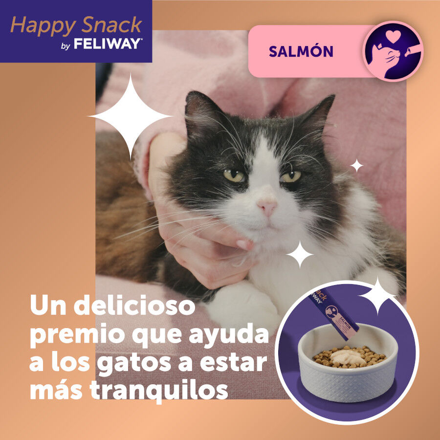 24 barritas Feliway Ceva Happy Snack Salm&oacute;n para gatos, , large Imagen numero 2