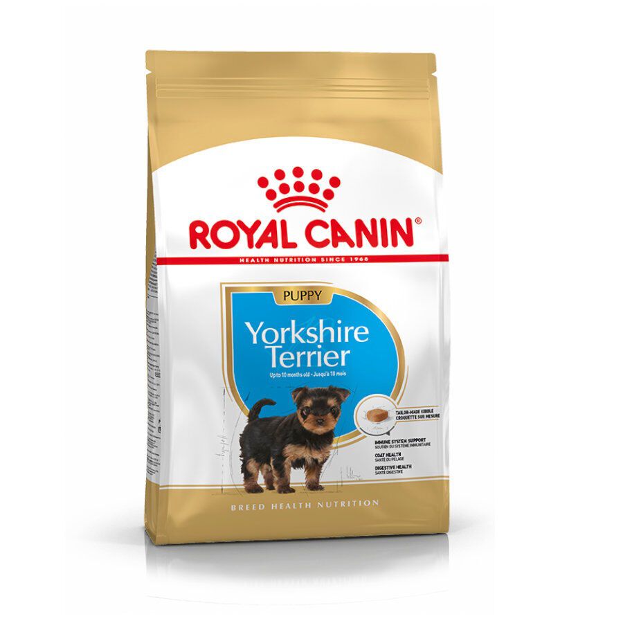 7.5 kg Royal Canin Puppy Yorkshire Terrier pienso para cachorros, , large Imagen numero 1