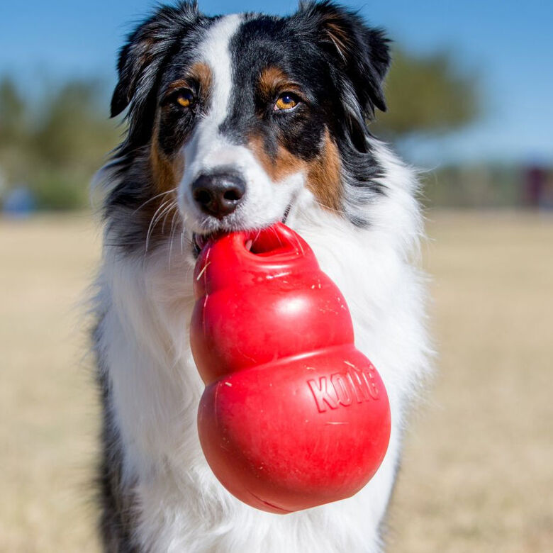 Kong Bounzer Juguete rojo para perros thumbnail