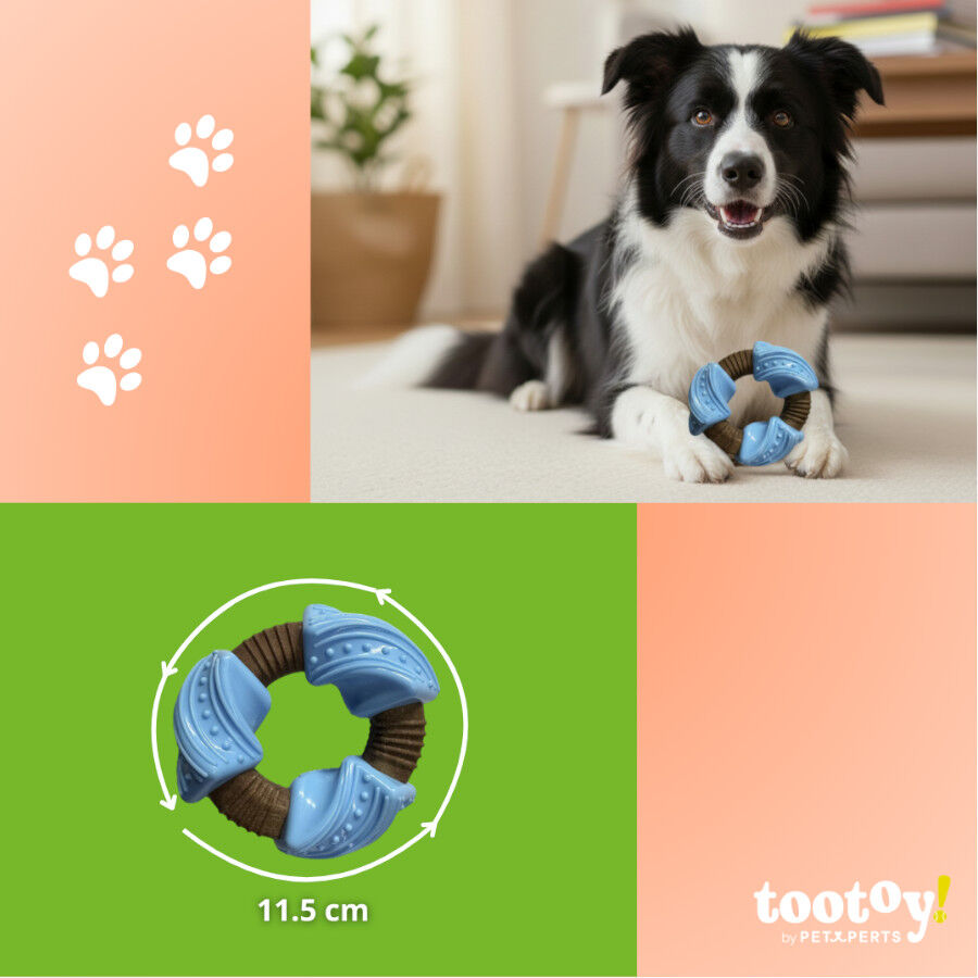 Tootoy! Anillo Mordedor Dental Azul y Marr&oacute;n para perros, , large Imagen numero 4