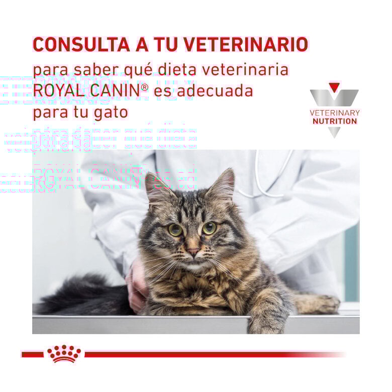 4 kg Royal Canin Veterinary Renal pienso para gatos,  Imagen numero 10 4 kg Royal Canin Veterinary Renal pienso para gatos, , large Imagen numero 10