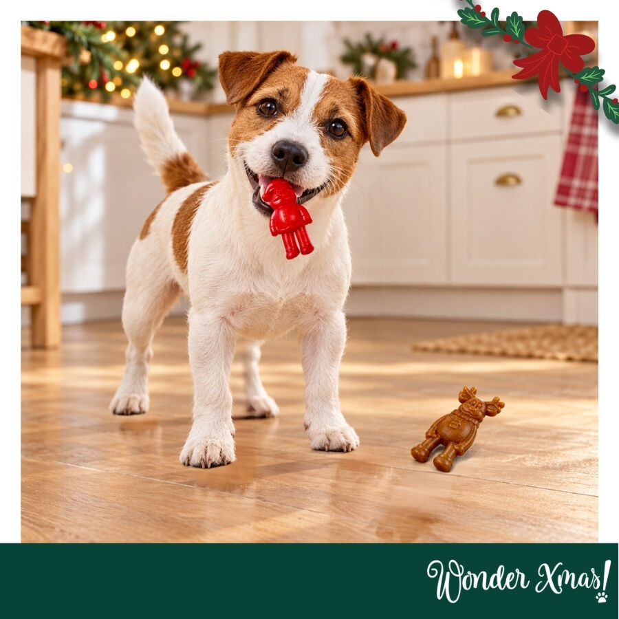 1 pack x 2 uds. Wonder Christmas Figuras Masticables Snacks para perros, , large Imagen numero 2