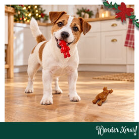 Wonder Christmas Figuras Masticables Snacks para perros