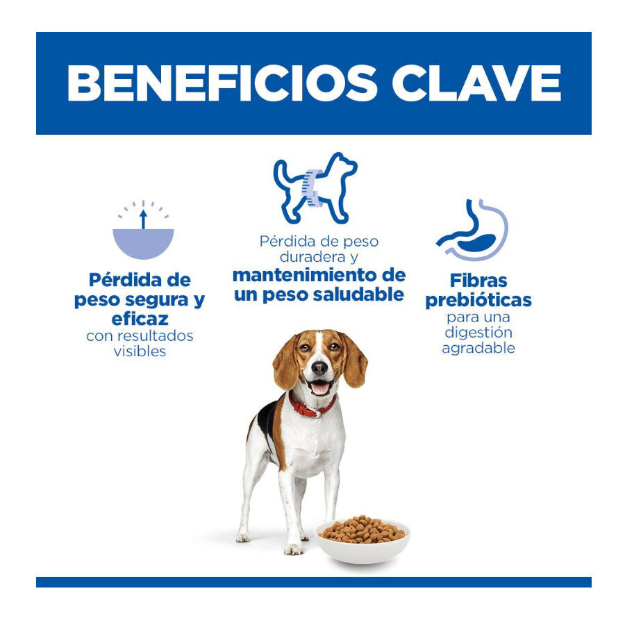 12 kg Hill's Science Plan Perfect Weight Adult Medium Pollo pienso para perros, , large Imagen numero 3