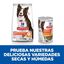 Hill's Science Plan Perfect Digestion Adult Medium Pollo pienso para perros, , large indicador imagen numero 6