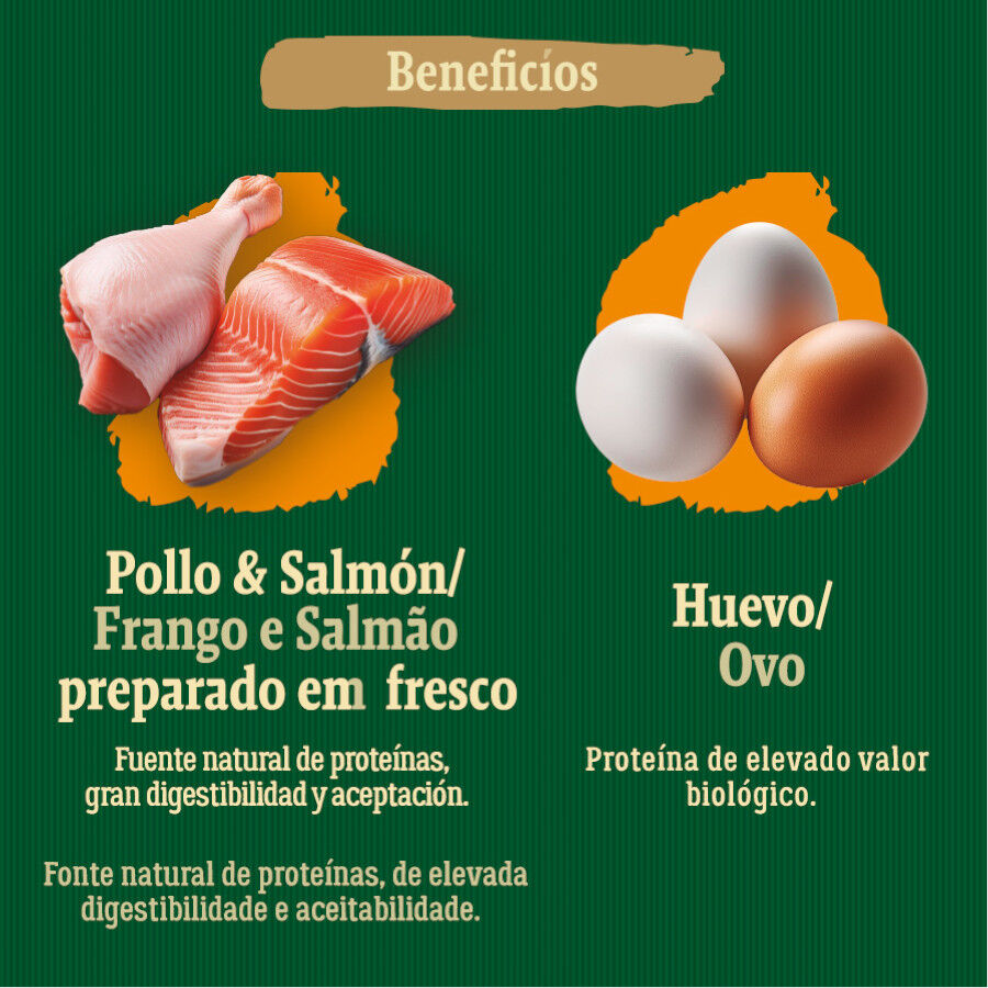 12 kg True Origins Wild Adult Country Water Pollo y Salm&oacute;n pienso para perros, , large Imagen numero 5