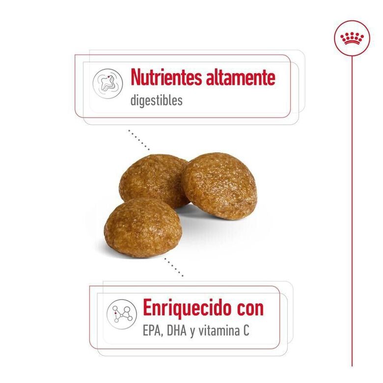 Royal Canin X-Small Adult pienso para perros thumbnail