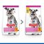 2.5 kg Hill's Science Plan Light Mature Adult small y mini pollo pienso para perros, , large indicador imagen numero 5