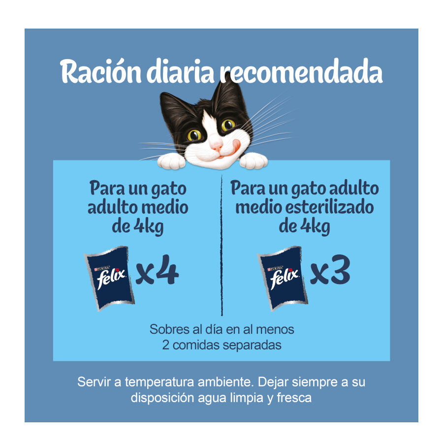 12 sobres x 85 g Felix Sensations Fest&iacute;n del Mar sobres en gelatina para gatos, , large Imagen numero 3