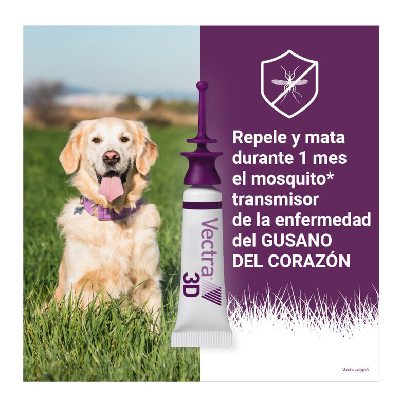 Vectra 3D Pipetas Antiparasitarias para perros thumbnail