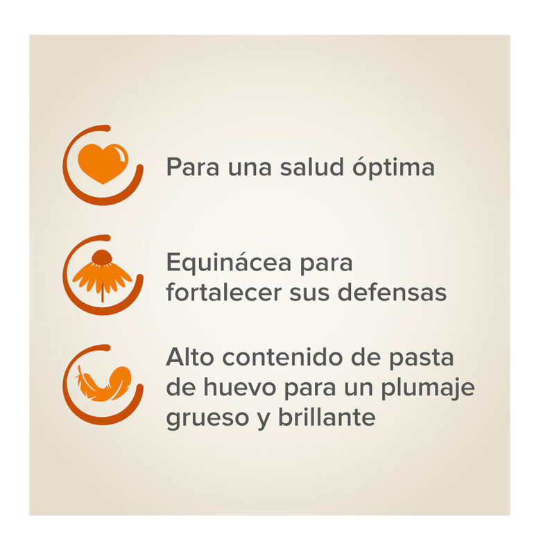 Beaphar XtraVital Mixtura para periquitos grandes,  Imagen numero 3 Beaphar XtraVital Mixtura para periquitos grandes, , large Imagen numero 3