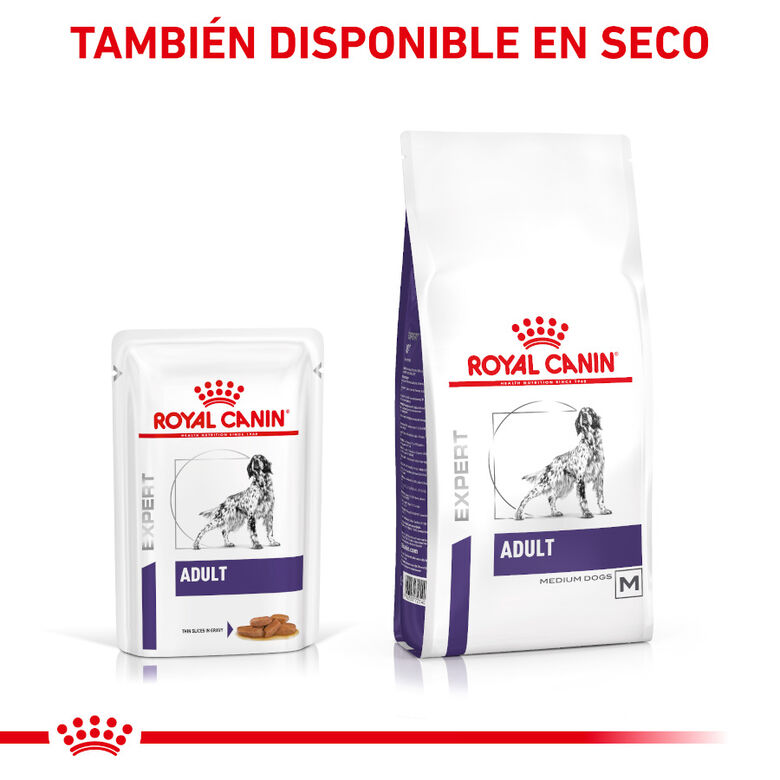 Royal Canin Expert Adult Sobre en Salsa para perros thumbnail