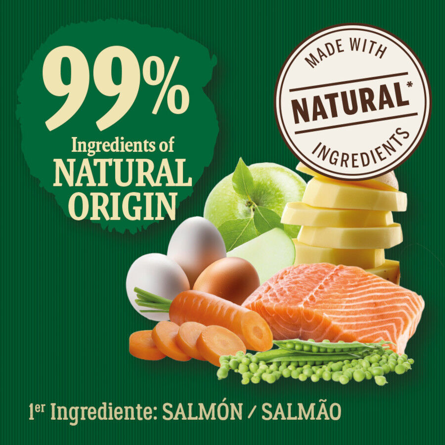 True Origins Wild Pacific Salmón pienso para gatos senior thumbnail