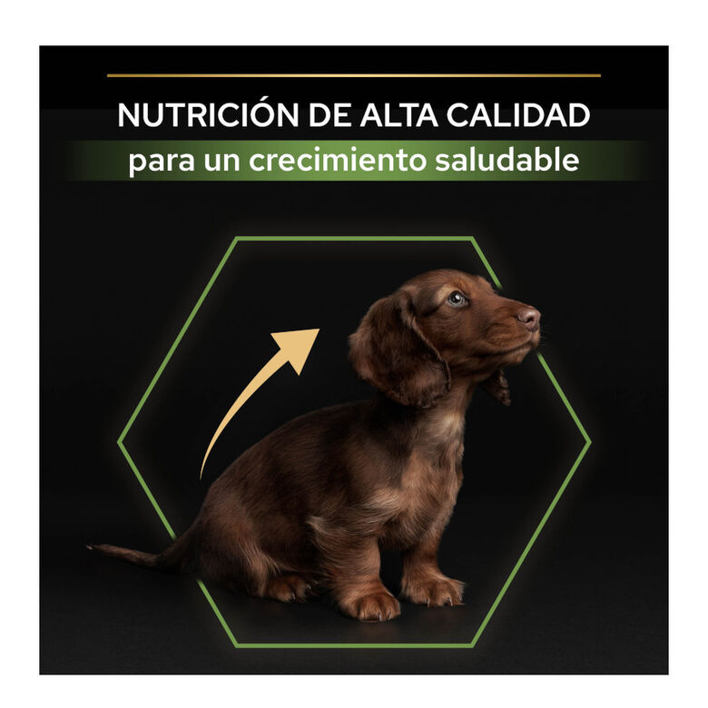 Pro Plan Puppy Small y Mini Pollo pienso para cachorros thumbnail