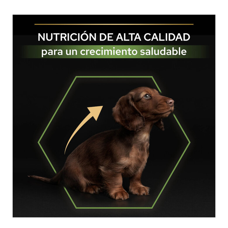 3 kg Pro Plan Puppy Small y Mini Pollo pienso para cachorros,  Imagen numero 7 3 kg Pro Plan Puppy Small y Mini Pollo pienso para cachorros, , large Imagen numero 7