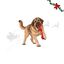 Wonder Christmas Pelota con Cuerda Juguete para perros, , large indicador imagen numero 1
