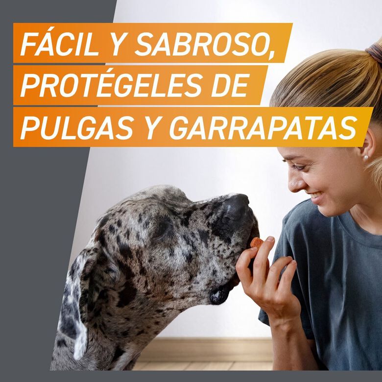 Frontpro Comprimidos Masticables Antiparasitario para perros thumbnail