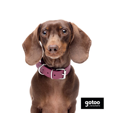 Gotoo Collar Biothane rojo vino para perros