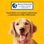 Pedigree Huesos Masticables Good Chew Buey para Perros Medianos, , large indicador imagen numero 7