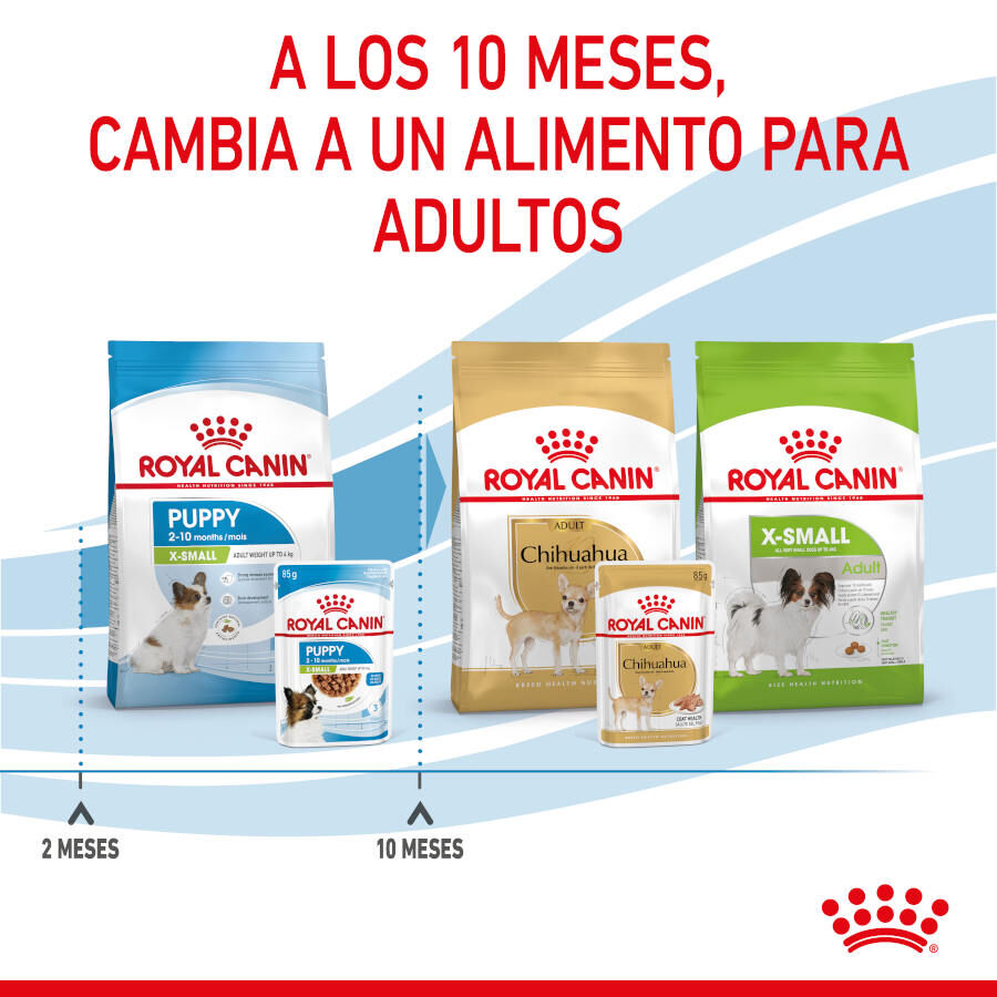 Royal Canin X-Small Puppy Trocitos en Salsa sobre para perros thumbnail