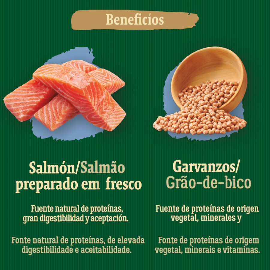 6 kg True Origins Wild Adult Pacific Salm&oacute;n pienso para gatos, , large Imagen numero 5