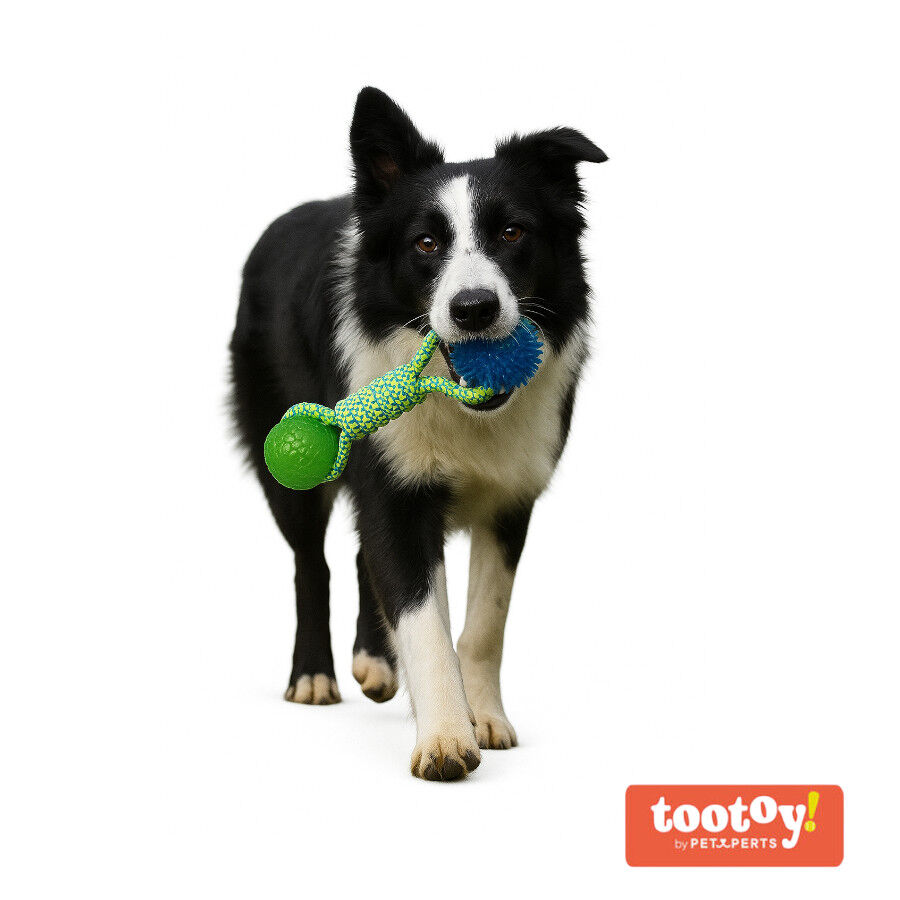 Tootoy! Mordedor de Cuerda con Pelotas de Goma para perros thumbnail