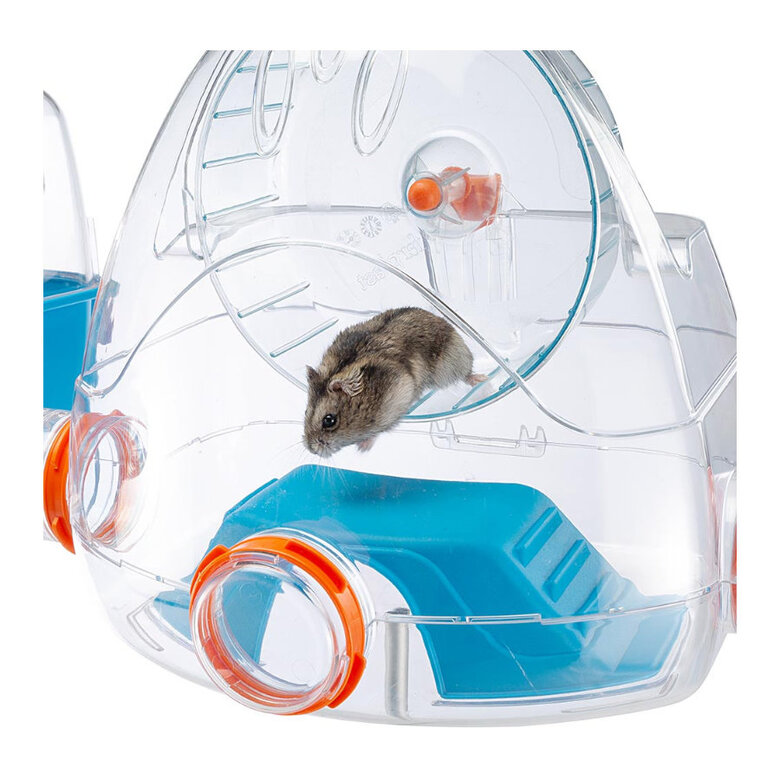 Ferplast Combi2 Complemento Jaula para hámsteres,  Imagen numero 7 Ferplast Combi2 Complemento Jaula para hámsteres, , large Imagen numero 7