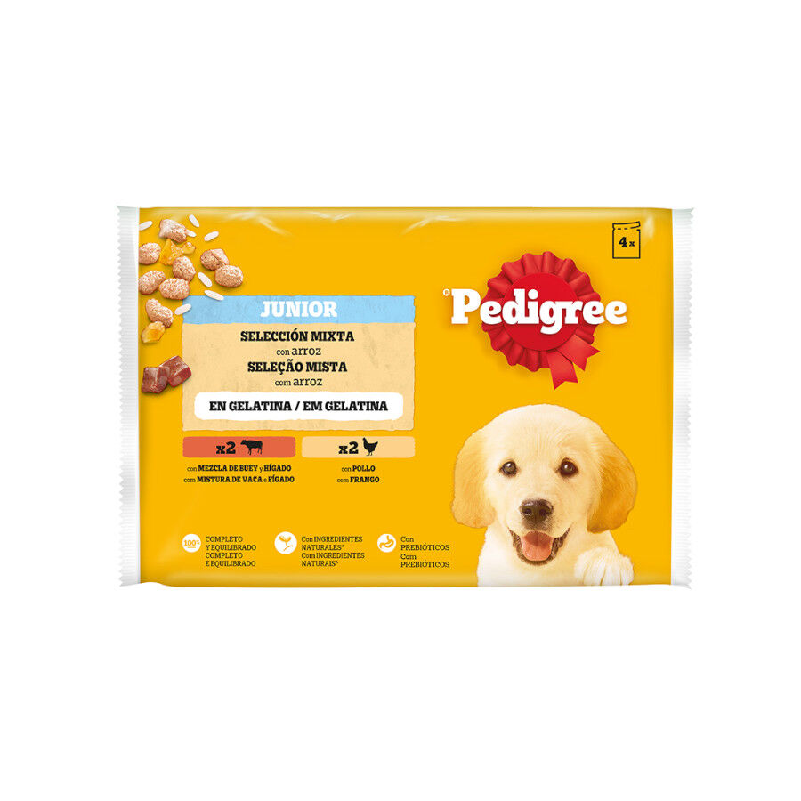 4 sobres x 100 g Pedigree Pollo y Buey con Arroz Gelatina en Bolsita para Cachorros, , large Imagen numero 1