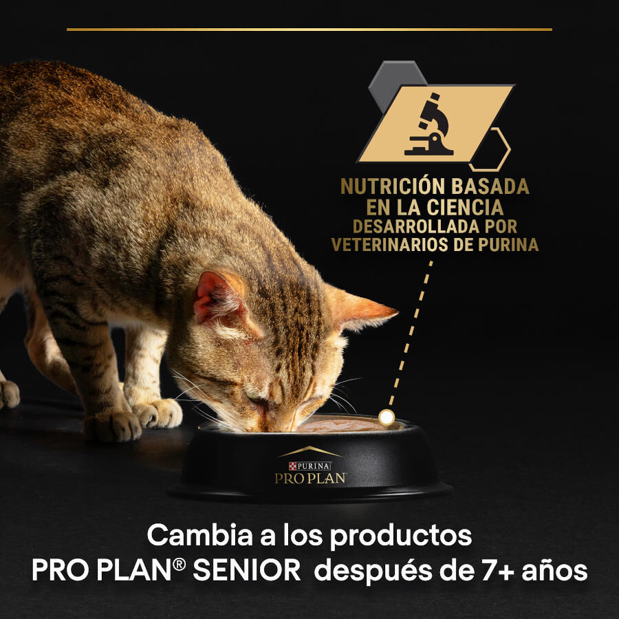 Pro Plan Adult Delicate Digestion Pavo y Pescado del Océano en Salsa sobre para gatos - Multipack thumbnail