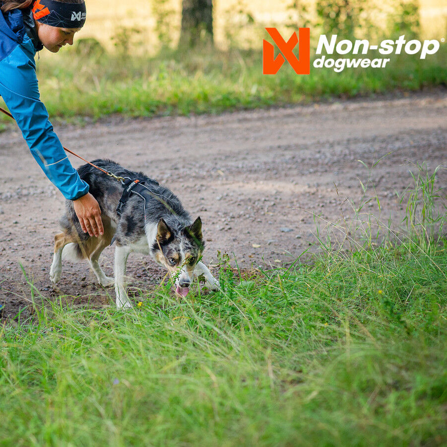 Non-stop dogwear Line 5.0 Arnés Negro para perros thumbnail