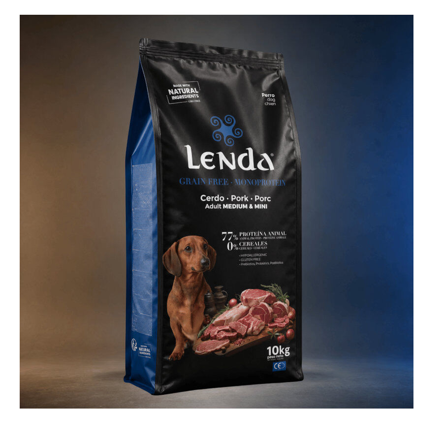 10 kg Lenda Grain Free Cerdo pienso para perros, , large Imagen numero 2