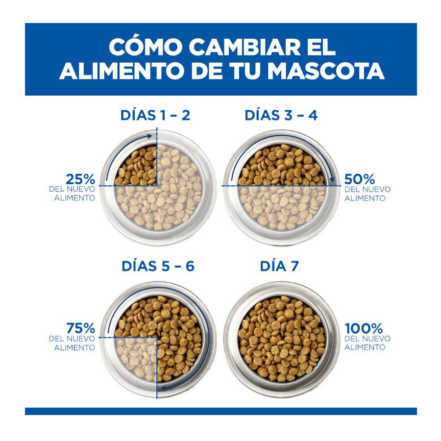 6 kg Hill's Science Plan Hipoalerg&eacute;nico Small y Mini Salm&oacute;n pienso para perros, , large Imagen numero 7
