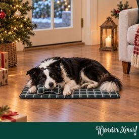 Wonder Christmas Set Manta y Cojin Hueso para perros