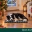 Wonder Christmas Set Manta y Cojin Hueso para perros, , large indicador imagen numero 2