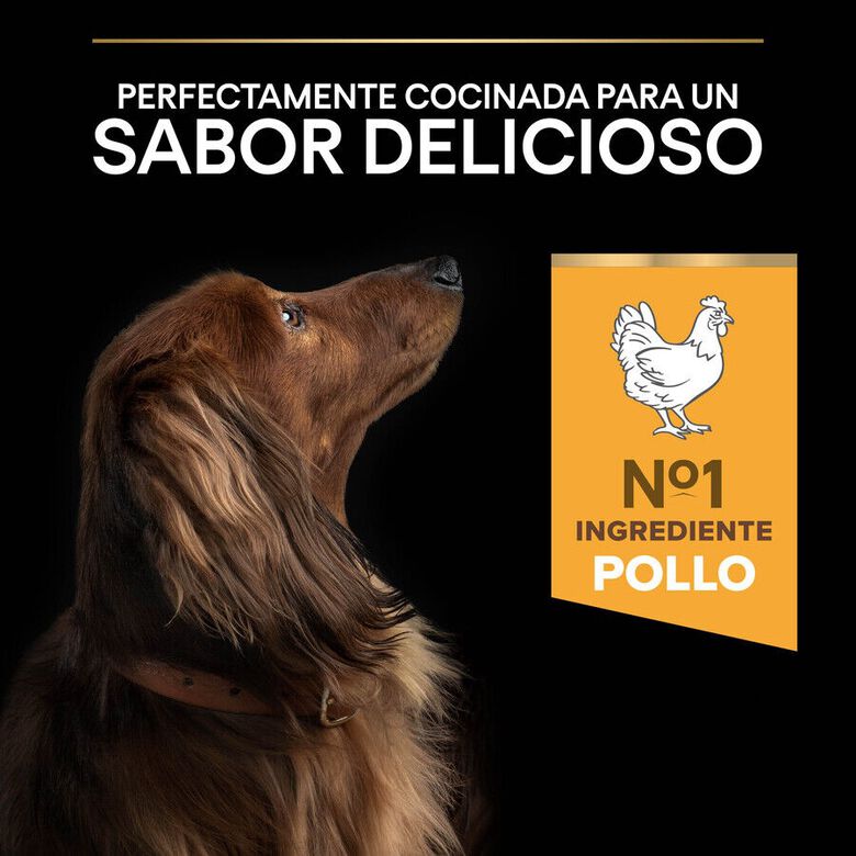Pro Plan Adult Small y Mini Pollo pienso para perros thumbnail
