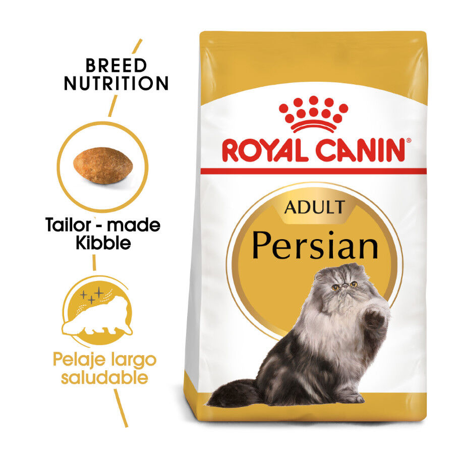 Royal Canin Persian pienso para gato adulto persa thumbnail