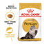 10 kg Royal Canin Persian pienso para gato adulto persa, , large indicador imagen numero 2