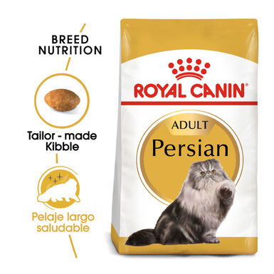 Royal Canin Persian pienso para gato adulto persa